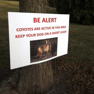 Sign that reads: BE ALERT, Coyotes are active in this area, keep your dog on a short leash